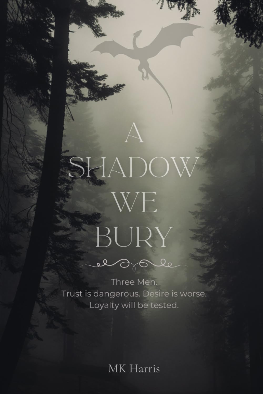 A Shadow We Bury