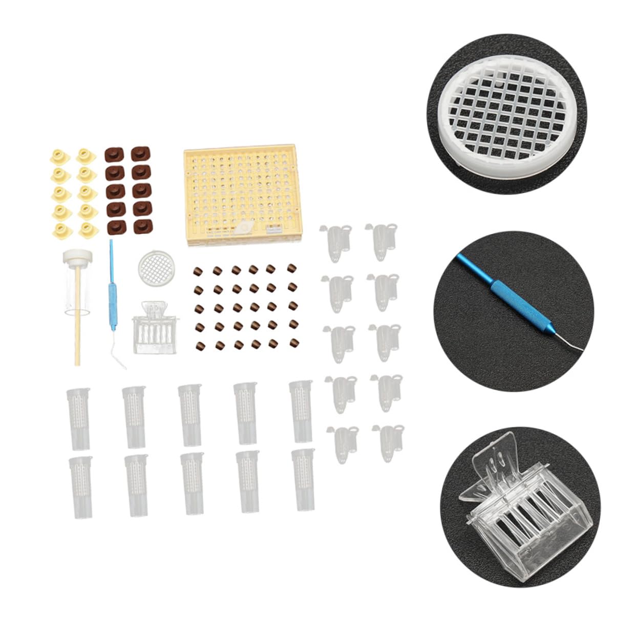 TOYANDONA Kit De Cría De Reinas Herramientas Apícolas Caja De Alimentación Kit De Jaula Accesorios Resistente Roturas Ligero