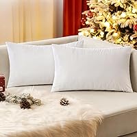 Vista 145 de EMEMA Paquete de 2 fundas de almohada de terciopelo, decorativas, cuadradas, suaves, sólidas, para sofá, dormitorio, silla o automóvil, 18 x 18 Gris