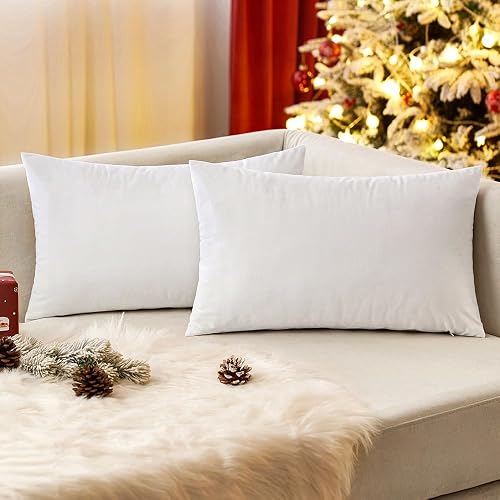 EMEMA Pack of 2 Velvet Throw Pillow Covers Decorative Rectangle