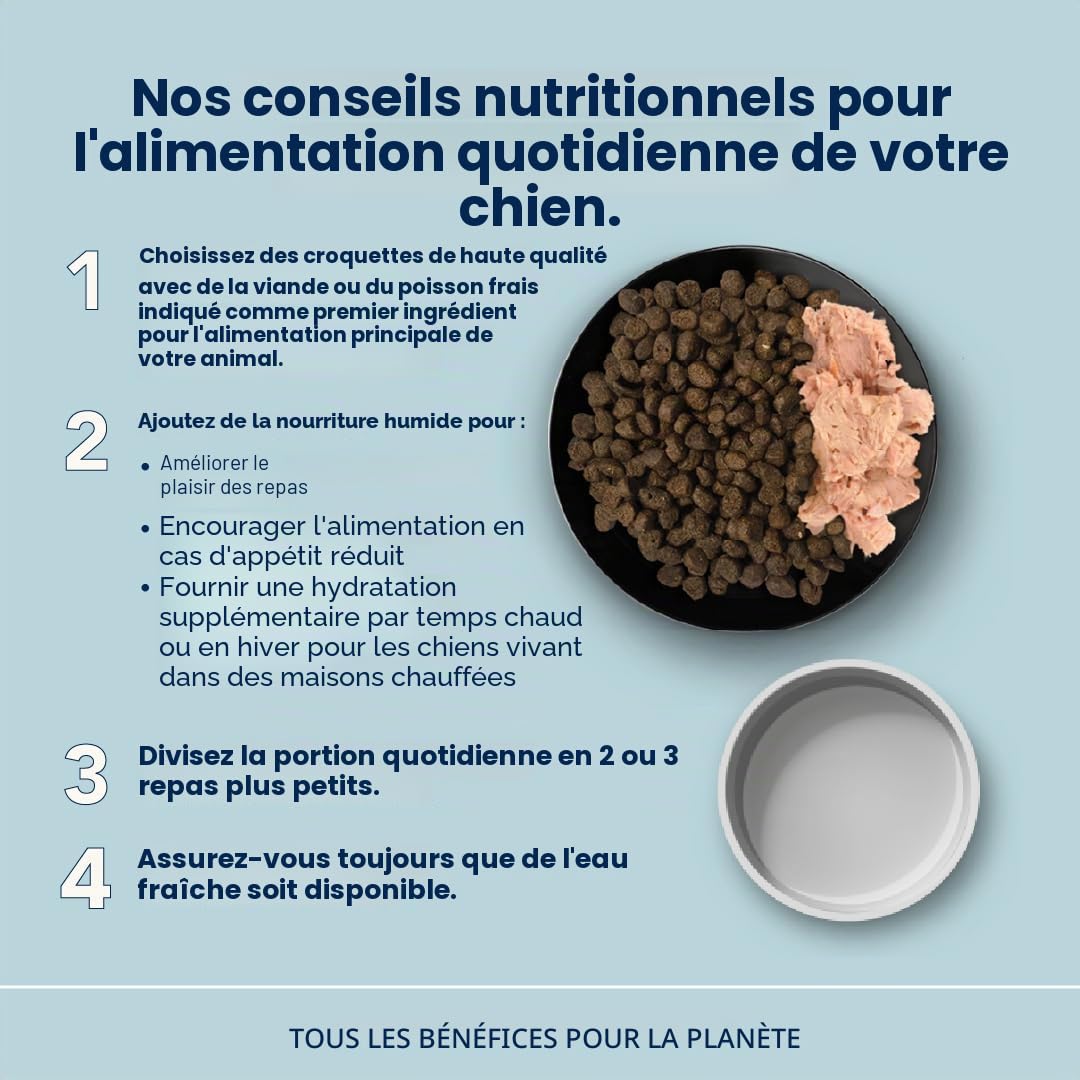 Almo Nature Holistic Maintenance L Dog. Croquettes pour Chiens de Grande Taille avec Saumon Frais. 12 Kg