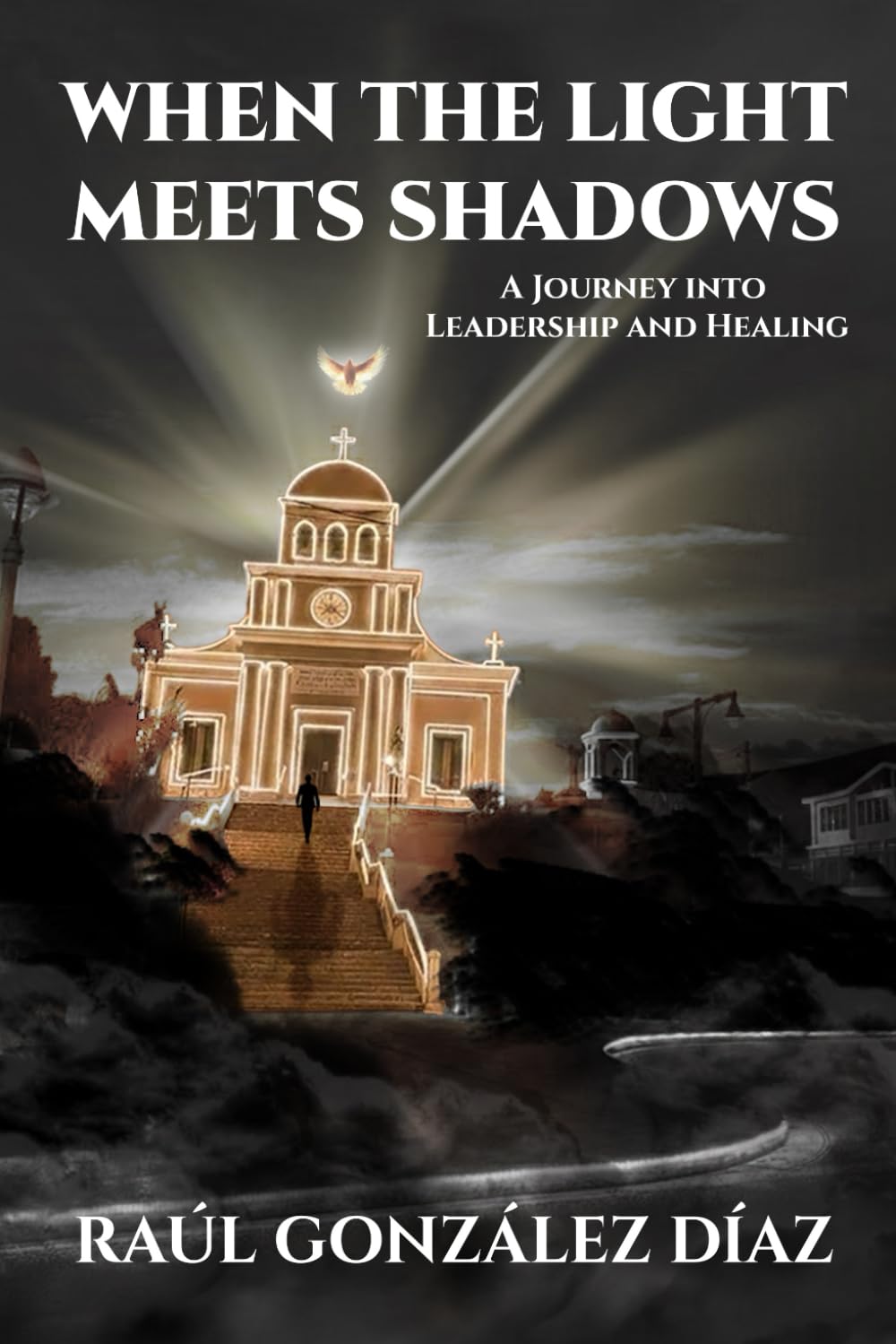 When the light meets shadows: A journey into leadership and healing