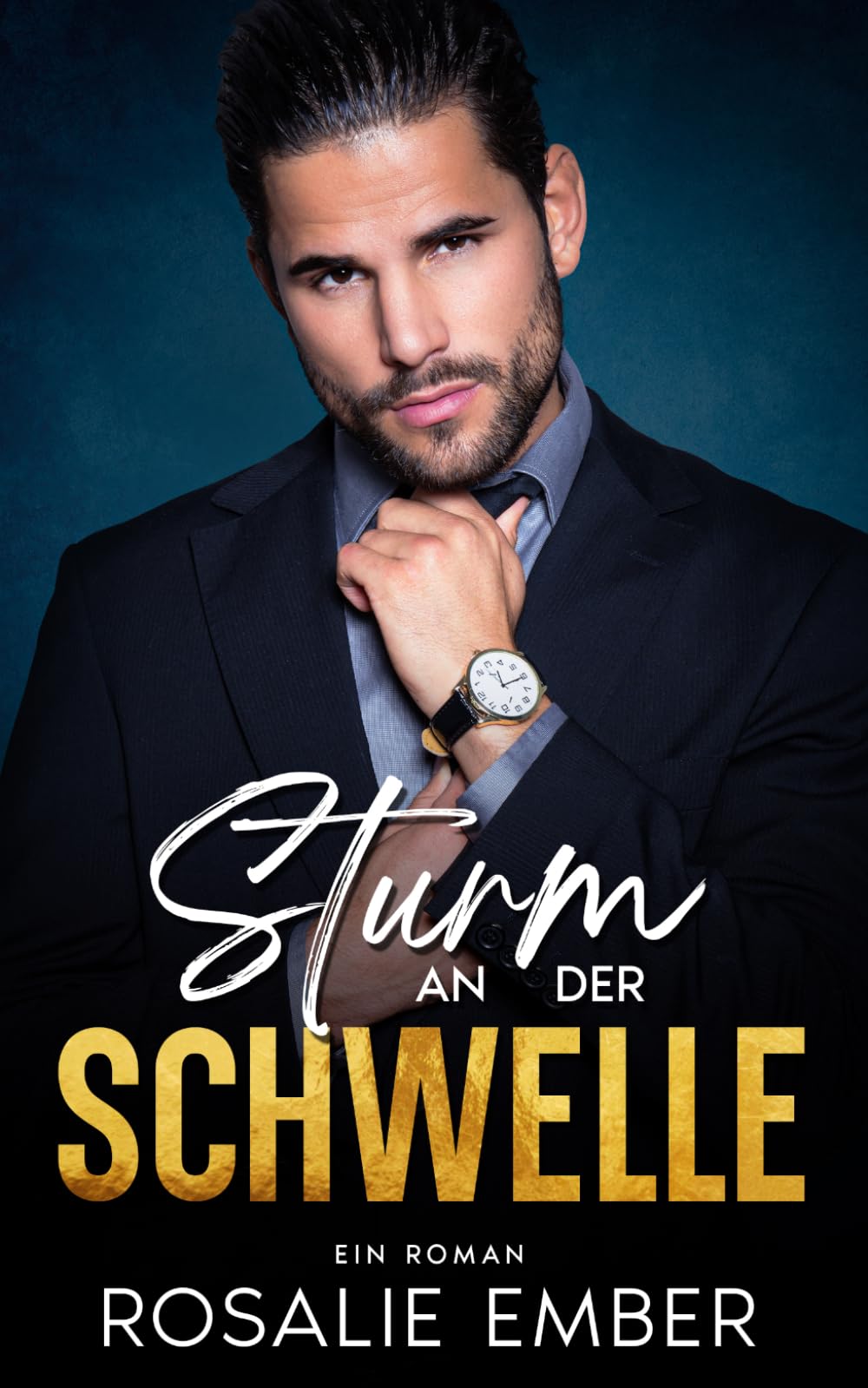 Sturm an der Schwelle: Ein Roman