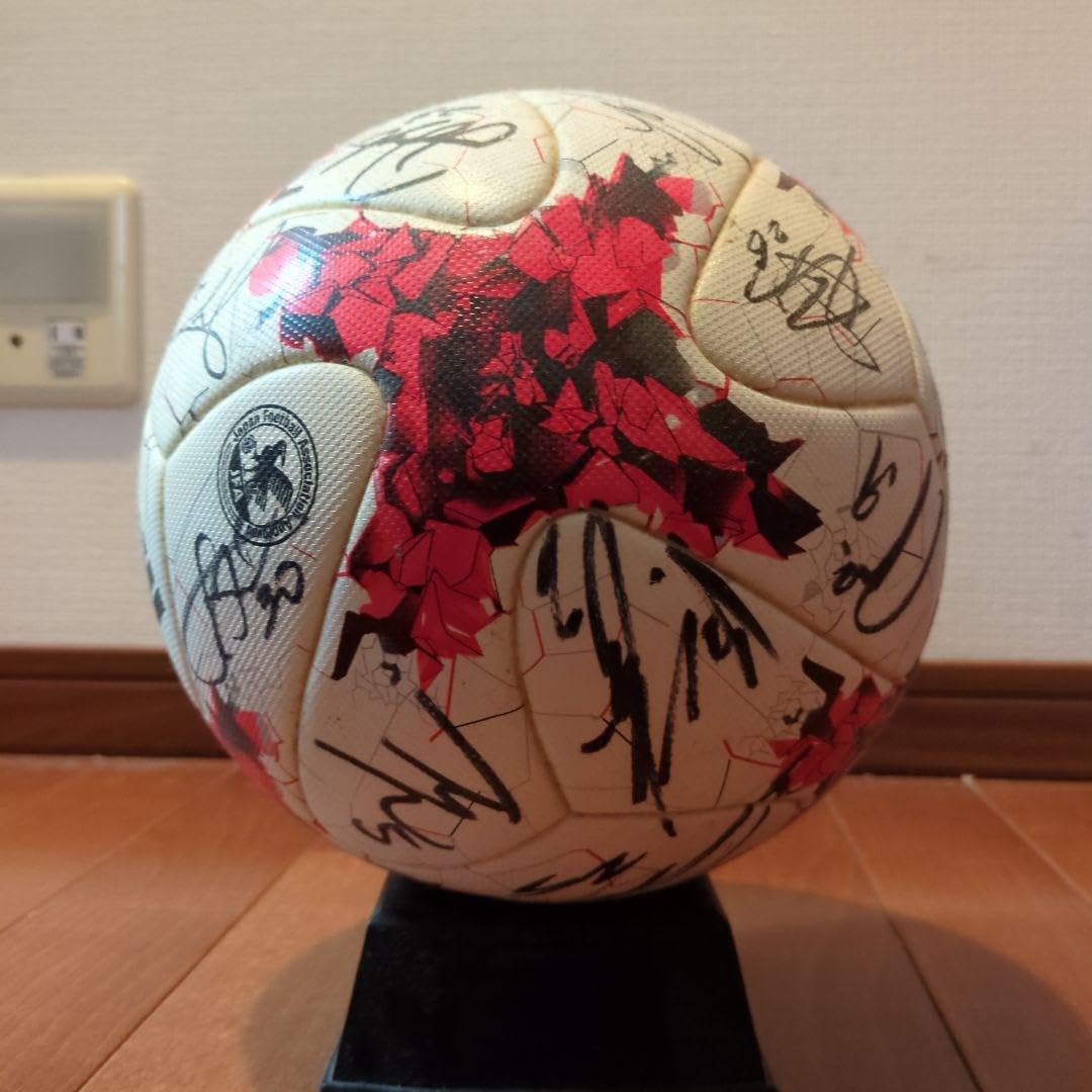 2017年公式試合球　ヴィッセル神戸全選手サインボール 2017年公式試合球 ヴィッセル神戸全選手サインボール 2017年公式試合球