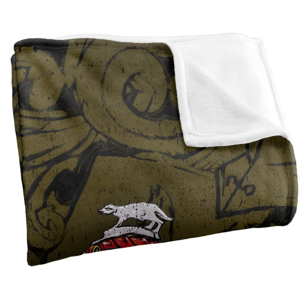 Harry Potter Silky Touch Kuscheldecke, Optimalweich, 152 x 127 cm