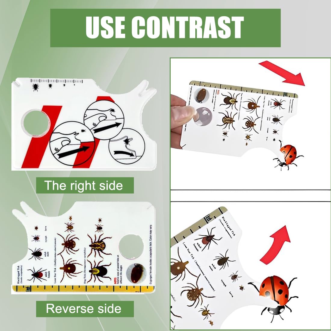 WeddHuis Set de 4 peignes anti puces pour chats et chiens, avec clip à tique, dents en métal, outil d'épilation multifonctionnel pour chiots et chatons (Acier inoxydable)