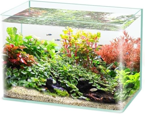 Vilom  ȐKXe KXŋ̉jpNɌϏ܂ɍœK ƂĂgp\ 邢ꏊɒuƍXɖ͓Iȓe (35*20*23cm)