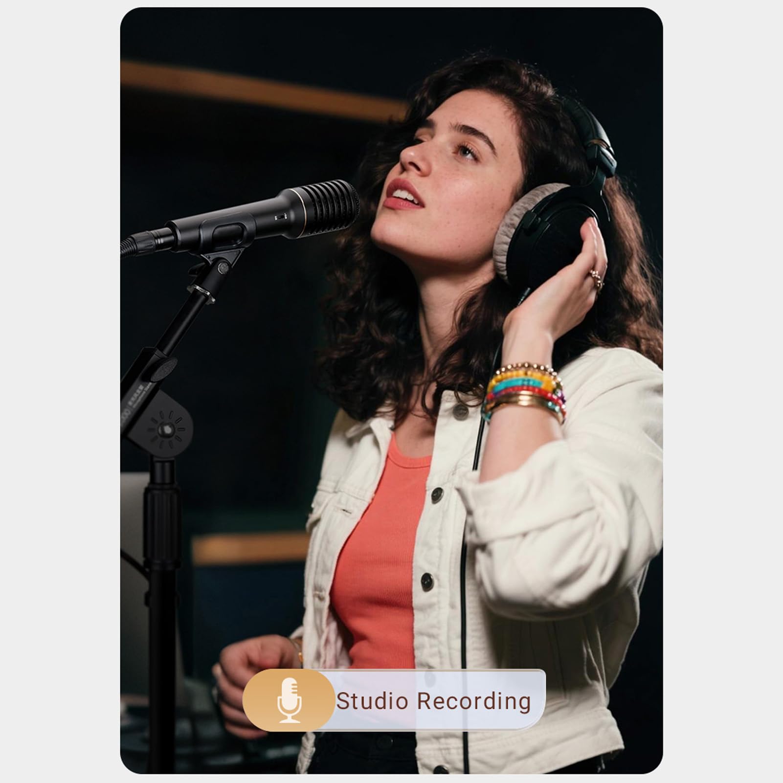 Fafeicy Handkondensatormikrofon, Professionelle von Live-Streaming-Karaoke mit Nieren-Tonabnehmer und 2 Empfindlichkeitseinstellungen, für Gesang, Musikinstrumente, Live-Auftritte
