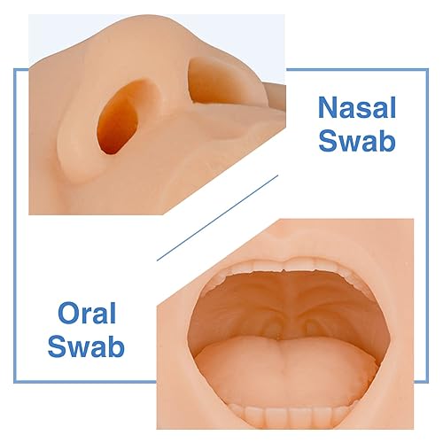 Miniatura 11 de SimCoach Hisopo nasal, modelo de entrenamiento de prueba de hisopo de garganta, simulador de recolección de hisopos, hisopo oral de saliva, Negro