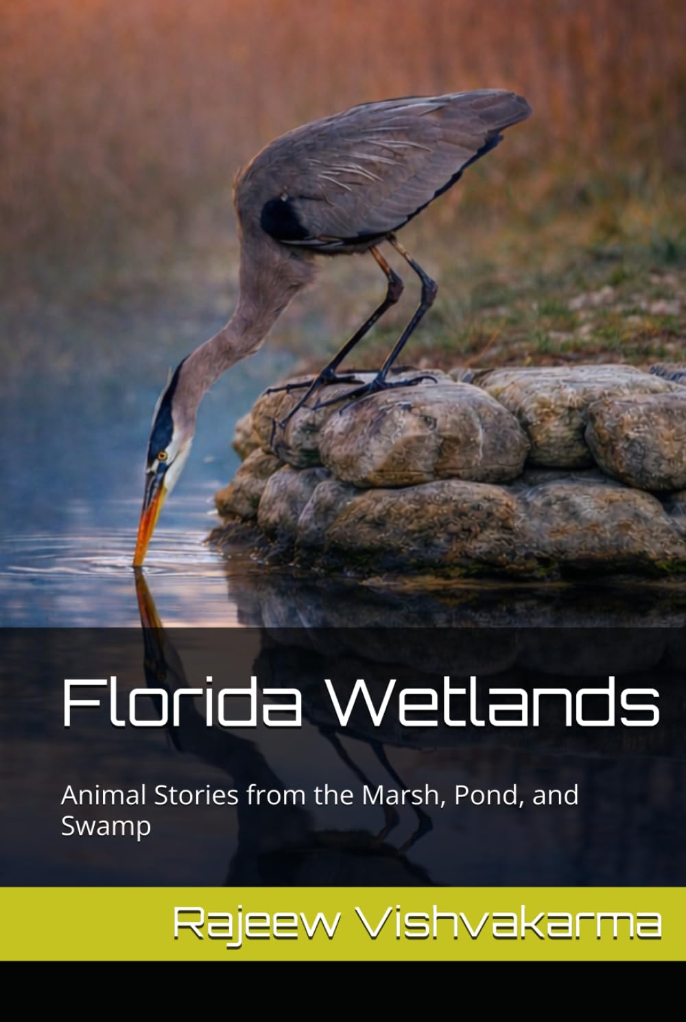 Florida Wetlands: Animal Stories from the Marsh, Pond, and Swamp