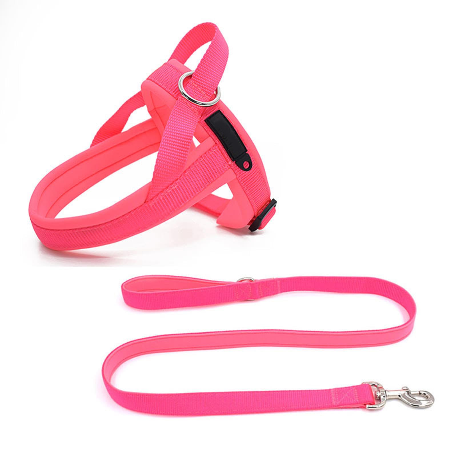Arnés y Correa para Perros con Hebilla de Seguridad, de Malla Suave, Reflectante, Transpirable, fácil de Llevar, para Perros pequeños, medianos, gatos y Cachorros, C-XL