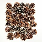 純国産 松ぼっくり 約4~6㎝ 約30個 松かさ 工作 加工 天然 オーナメント 装飾 クリスマス 正月飾り 門松 縁起物