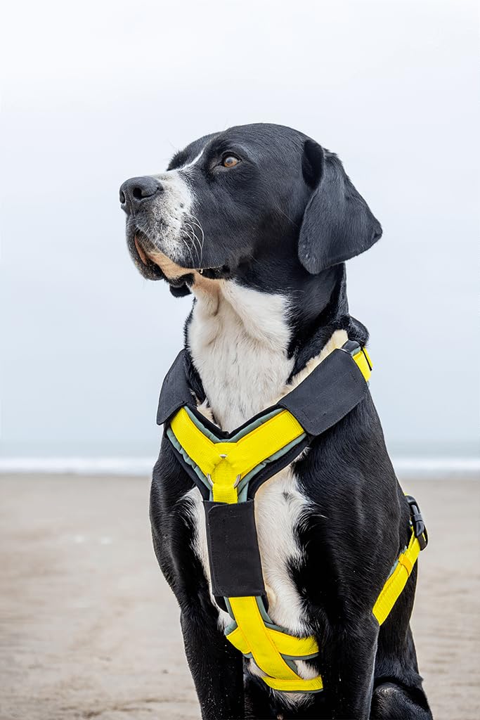 BUMER Lammfell Adapter für Y-Geschirre, passend für alle gängigen Y-Hundegeschirre (L)
