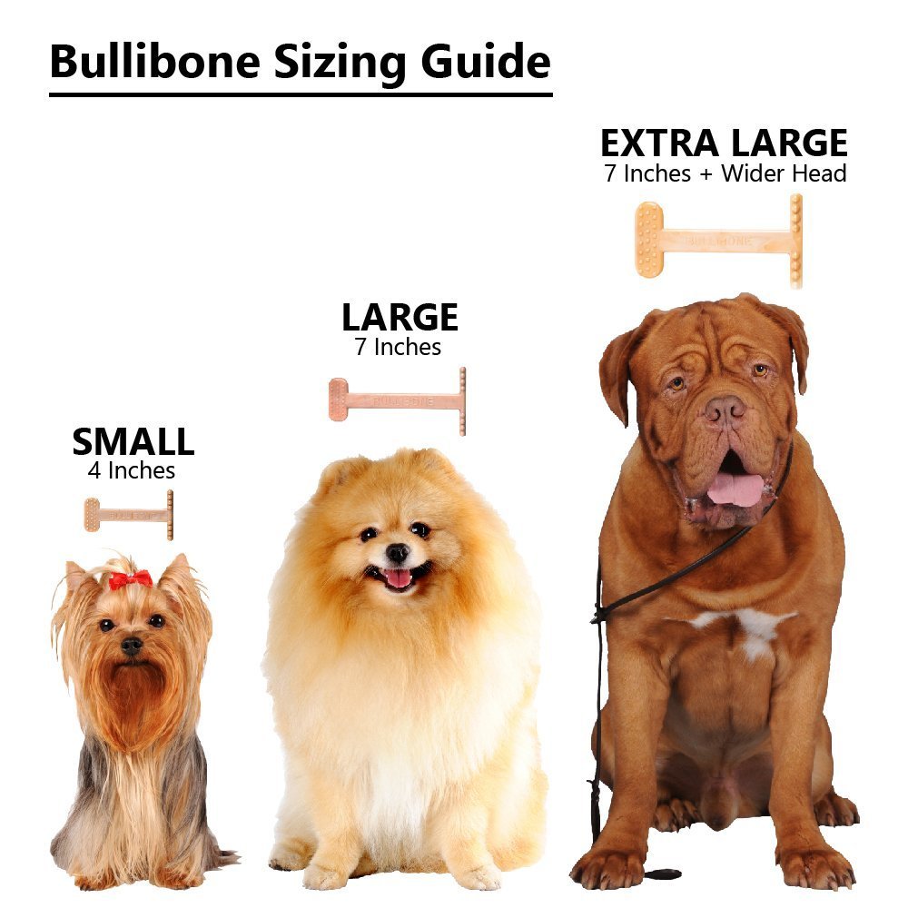 Bullibone Nylon Dog Chew Toy for Aggressive Chewers - Dental Hygiene Bone with Bacon Flavor, Durable Tough Chew Toys for Extra Large Dogs, Indestructible Dog Bone - 3 Pack