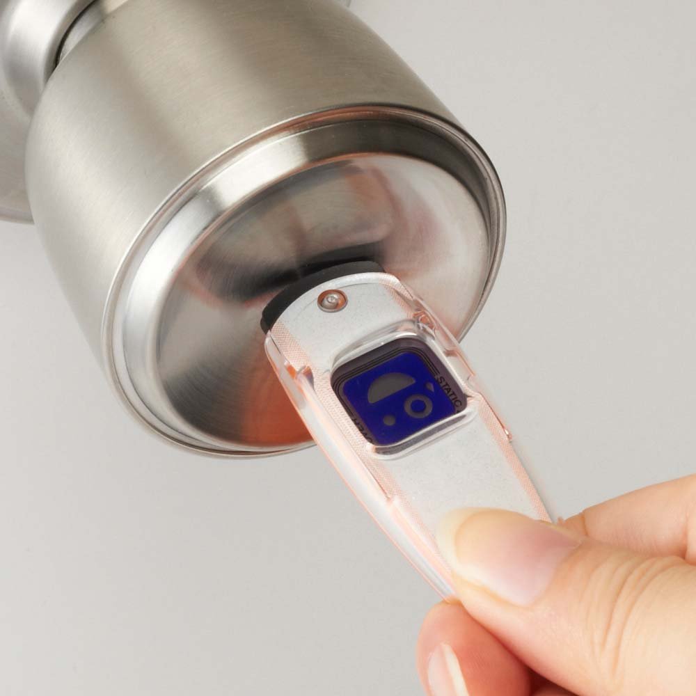 Amazon.co.jp: ぺんてる 静電気除去キーホルダー ビーシェイプ EASB3