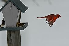 Review Image by Bridget M Bridget M