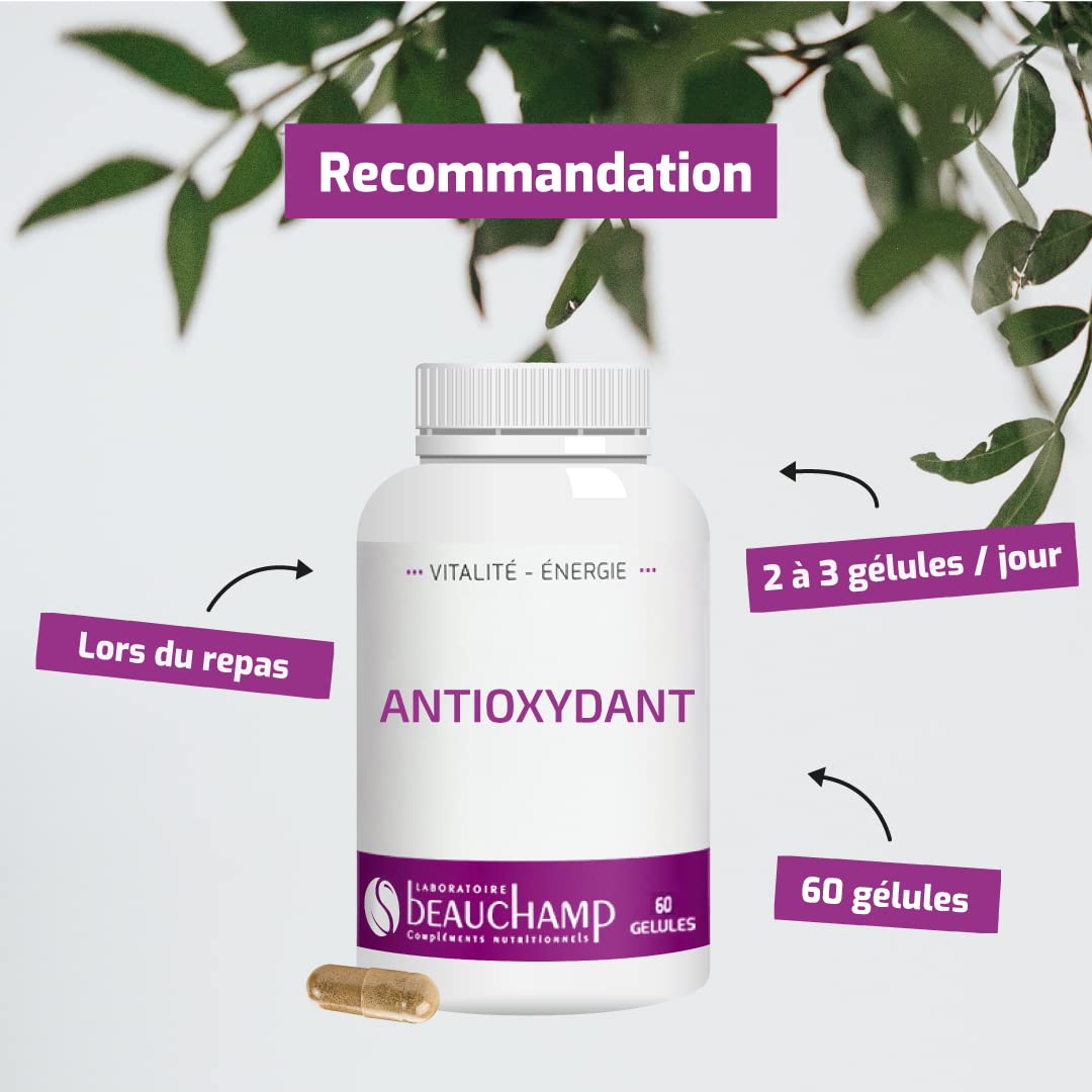 Complément alimentaire ANTIOXYDANT - 60 gélules - Protection contre le stress oxydant - Anti-âge - Développé en France