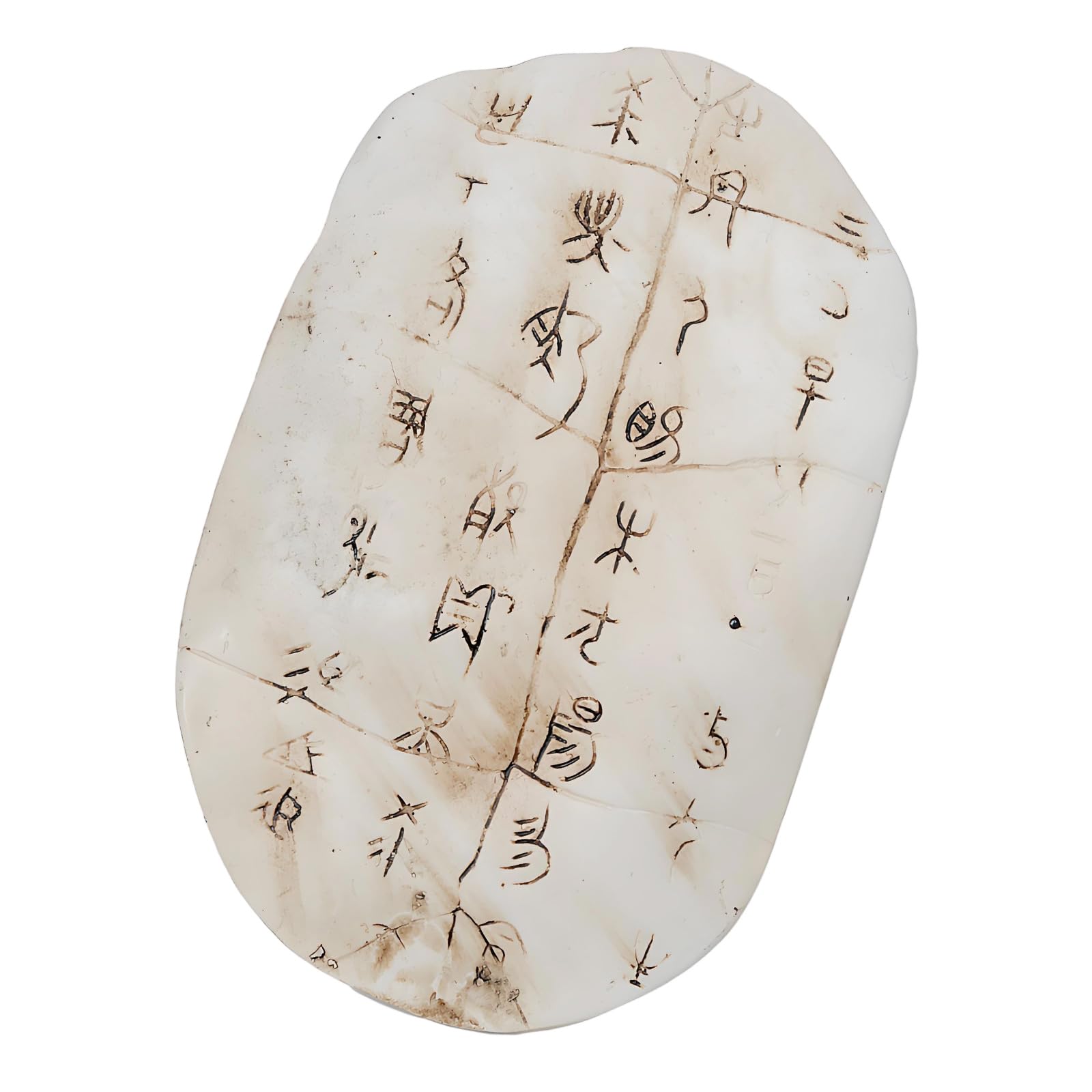 ZEPFJHE Unique Artistic Turtle Shell Shape Resin Hanging Ornament Featuring Classical Cultural Resin Wall Hanging