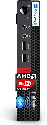 Lenovo ThinkCentre Micro Desktop, 16GB DDR4 RAM, 1TB SSD Drive, AMD Processor & Graphics, Dual-Display Support, Wi-Fi, Bluetooth, USB, RJ-45, Windows 11 Pro, Business-Grade, Home-Friendly