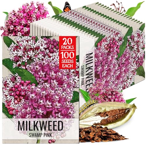 Image of Seed Needs Pink Swamp Milkweed Seeds for Monarch Butterflies 20 Pack