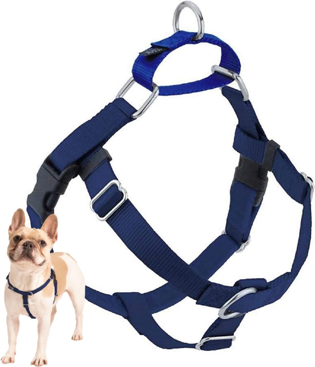 Freedom No Pull Dog Harness, Adjustable Harness, Easy Walking & Comfortable Control, Fits Small, Medium & Large Dogs, Solid Colors, Made in USA, 1" MD, Navy