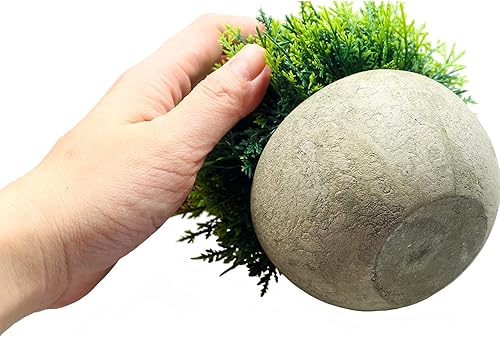 Miniatura 3 de Svenee Mini plantas de cedro de ciprés falso para decoración de baño, hogar, oficina, escritorio, pequeña vegetación artificial para decoraciones de
