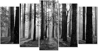 Visual Art Decor Large 5 Pieces Black and White Sunshine Foggy Forest Landscape Canvas Prints Trees Wall Decoration Framed...