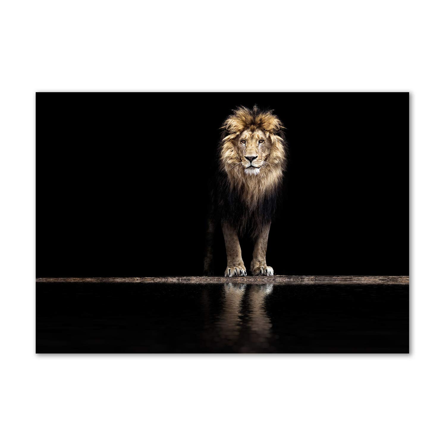 Impression sur verre portrait d'un lion brun 100x70 cm pour décoration de cuisine et salon
