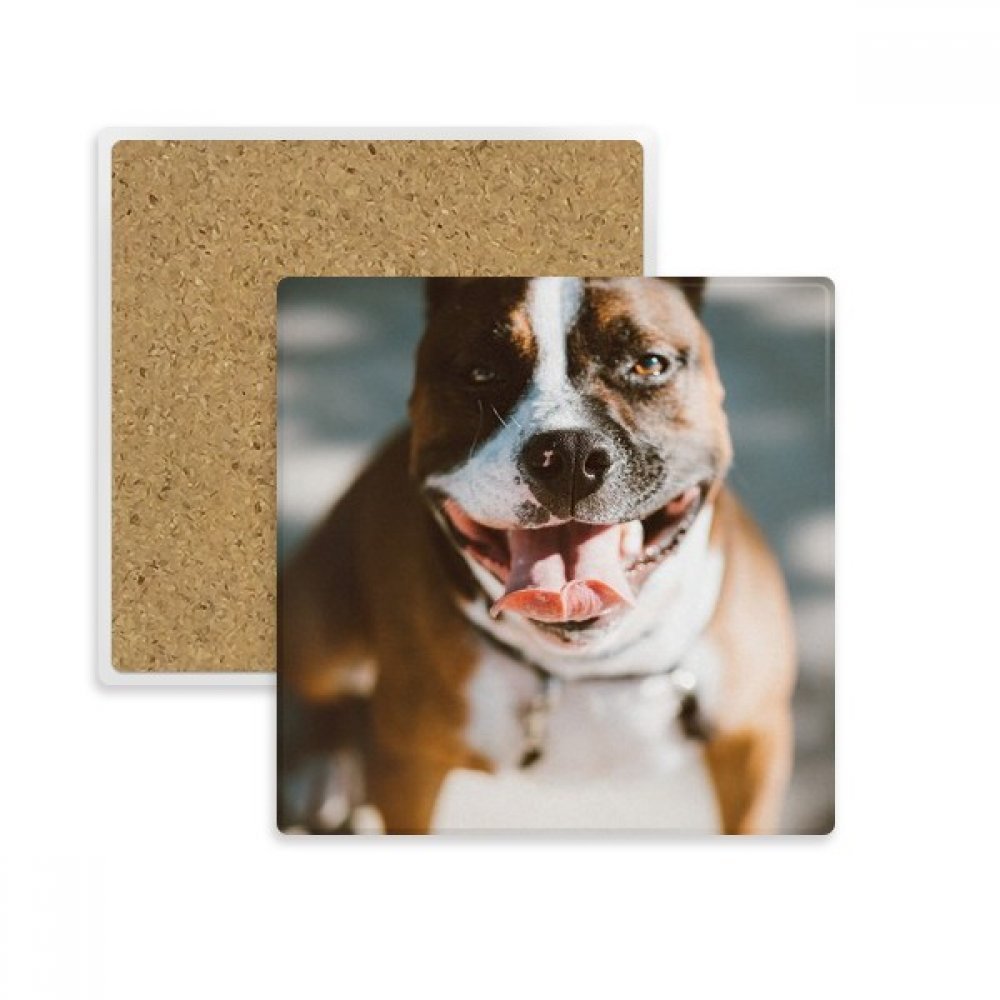 Dessous de verre bouledogue multicolor en pierre, idée cadeau originale pour amateurs de thé