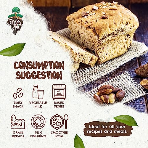 Image of Snack The True Organic Broken Brazil Nuts 32 oz - Raw and Unsalted - Healthy-Rich in Vegetable Protein - Fresh, Vegan and Gluten Free - Forest Up