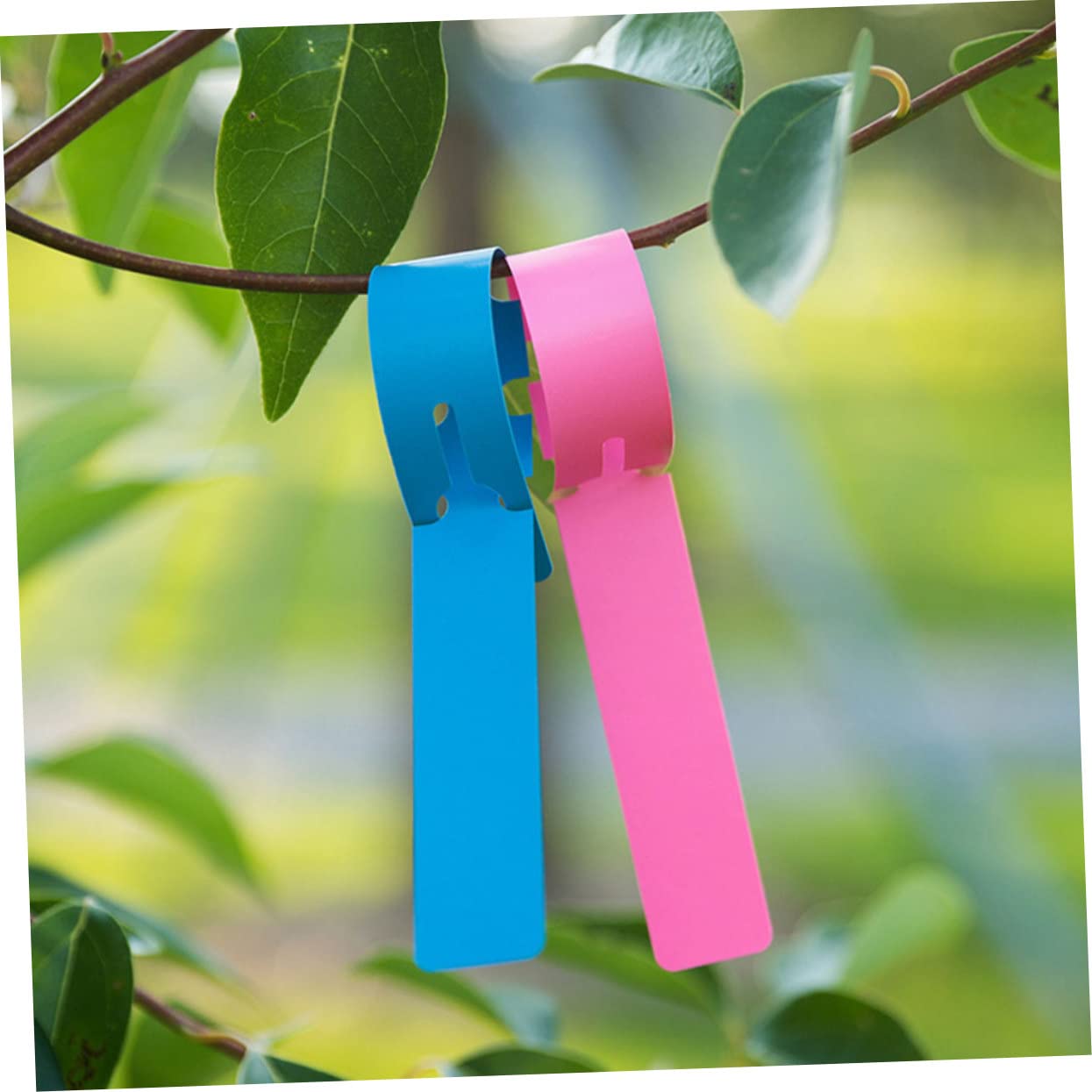 Yardwe 3 Sätze Pflanzengarten-label Pflanzenbeschriftungen Pflanzenbeschriftungsschilder Gartenetiketten Pflanzenetiketten Pflanzen-tag Gartenkarte Eingefügt Blumenetikett 300 Stück * 3