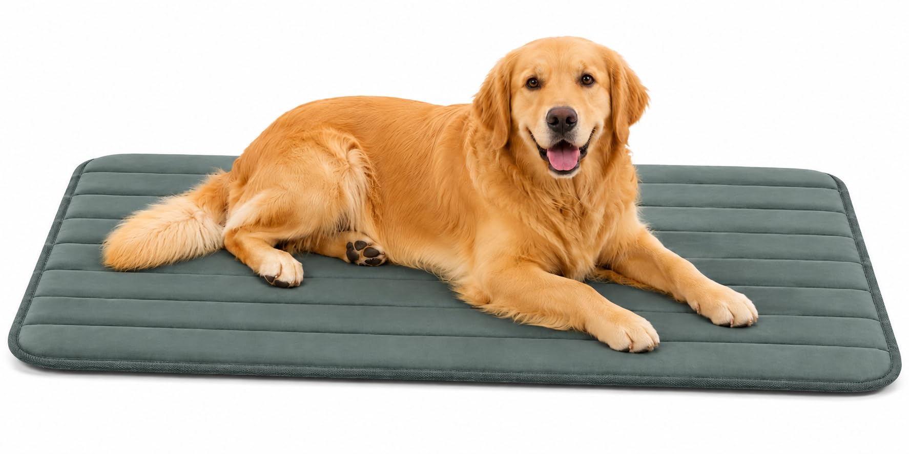 Panier chien orthopédique à mémoire de forme soulageant les articulations