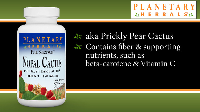 Amazon.com: Nopal Cactus Full Spectruma 1000mg, 0.45 Pound