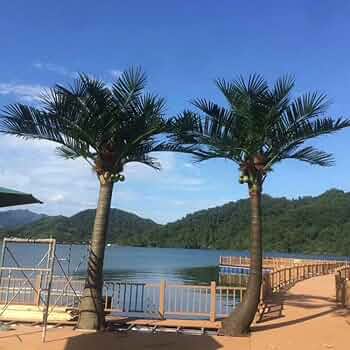 日本のヤシの木 Amazon｜シミュレーションFRPココナッツツリー、ヤシの木、人工