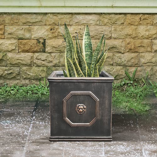 Kante Lightweight Classic Square English Style Lion Head Planter 12.6"X12.6"X12.6" Oil Rubbed Bronze #TOP5
