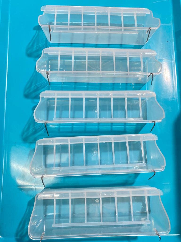 Partition (Compartment) Feeder for Birds Suitable for Budgies, Finches, African Love Birds, Conures, Budgies etc (Pack of 1) (B09MJFFBJN) Amazon Price History, Amazon Price Tracker