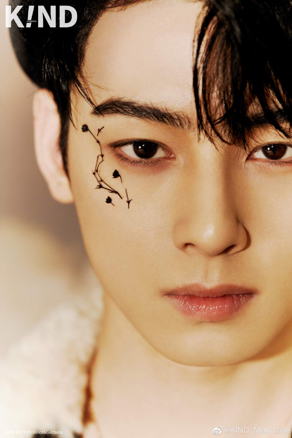 Amazon.co.jp: 中国雑誌 KIND CHINA Magazine Cha Eun woo チャ・ウヌ 