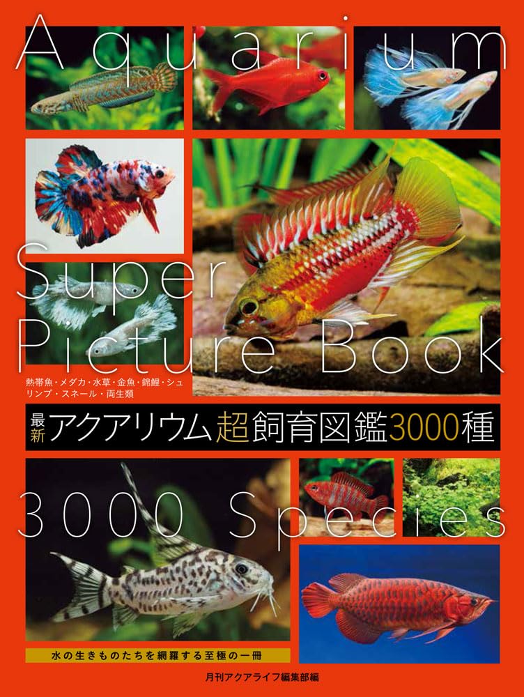 最新 アクアリウム超飼育図鑑 3000種 | 月刊アクアライフ編集部 |本