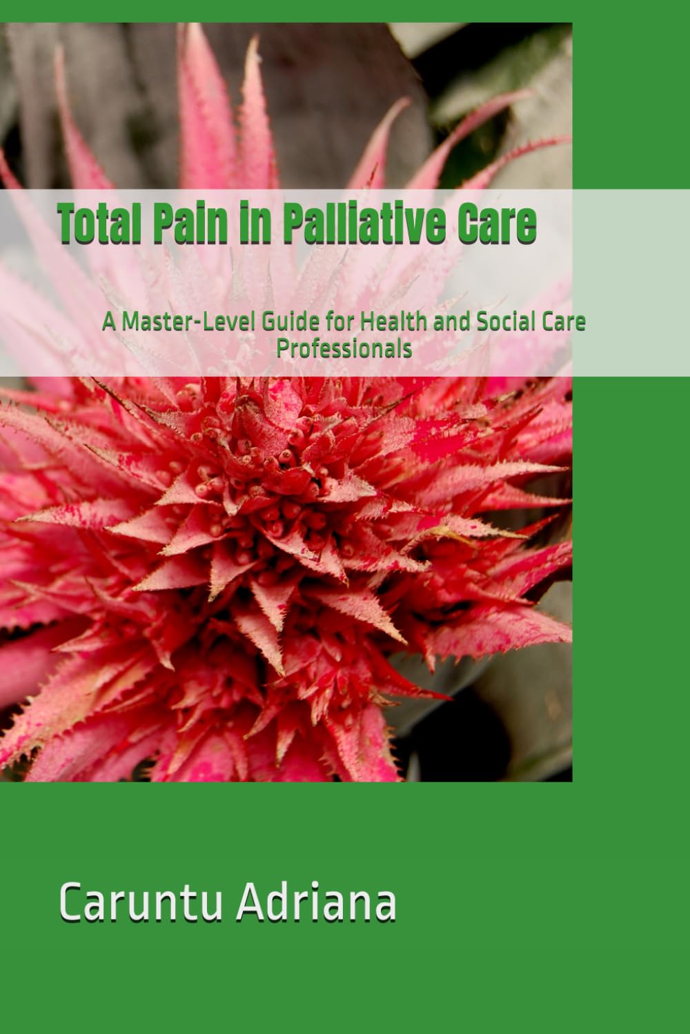 Total Pain in Palliative Care: A Master-Level Guide for Health and Social Care Professionals (Palliative education)