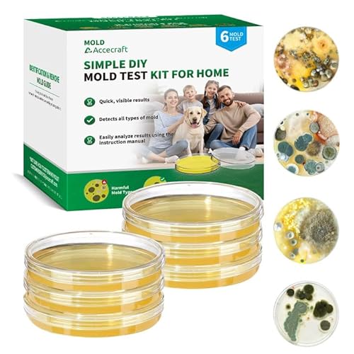 Mold Test Kit for Home - 6 Simple Mold Test kit