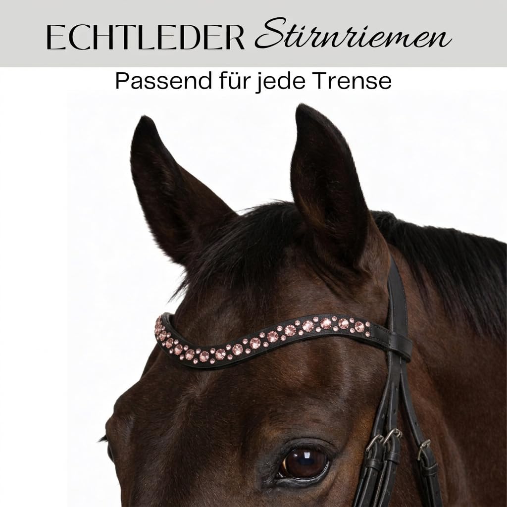 Pferdelinis Geschwungener Stirnriemen mit funkelnden Kristallen in Silberoptik – sorgt für einen stilvollen und glamourösen Auftritt im Training und auf dem Turnier (Schwarz-Pink, Warmblut (Full))