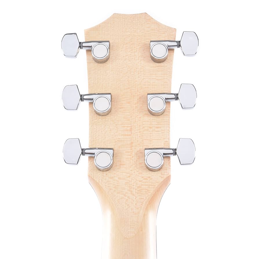 Amazon | Taylor 110e - Natural Sitka Spruce | エレアコギター