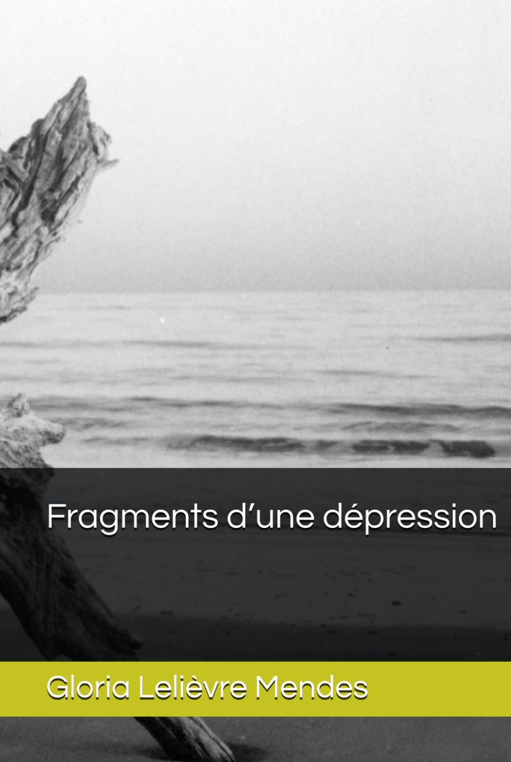 Fragments d’une dépression