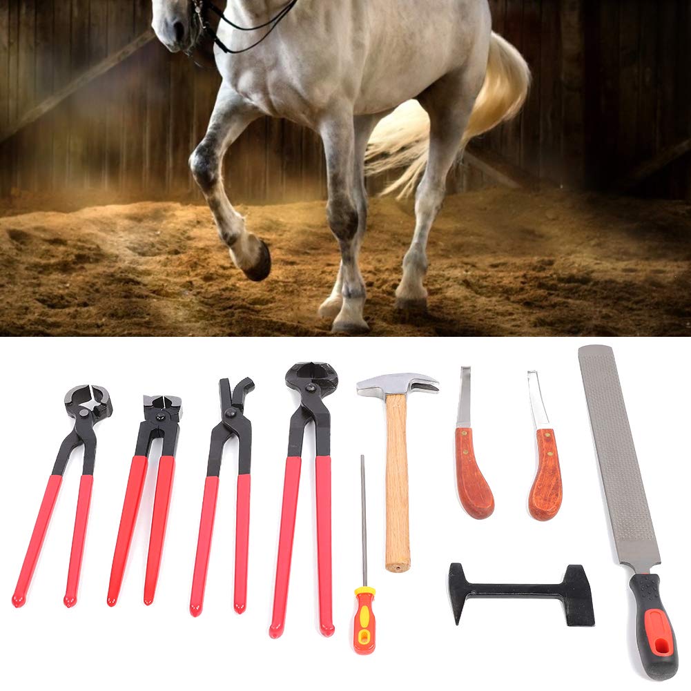 Generic Strumento Maniscalco Cavallo, 9 Pezzi Acciaio Ferro Ferro di Cavallo Trim Cutter Pinze Raspa Zoccolo di Cavallo con Manico Ergonomico Strumento Martello Zoccolo