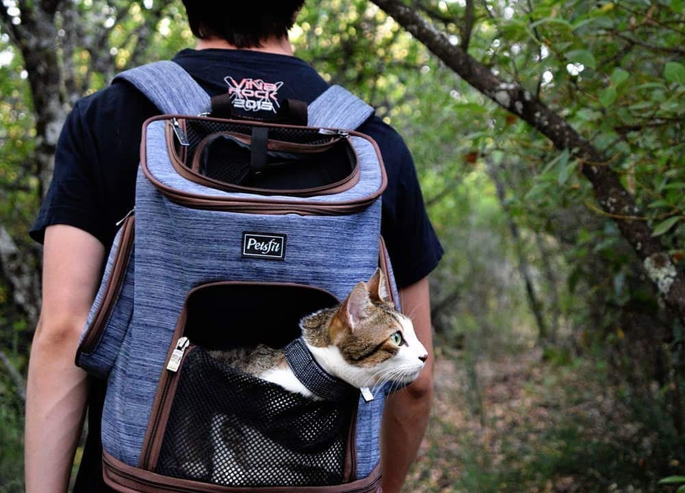 Pestfit Hunde Rucksack für Katzen Kaninchen und kleine Hunde Verstellbare Hunderucksack bis 6 kg Katzenrucksack faltbar, Rucksack Hunde für Reisen, Wandern und Radfahren, Denim-Blau
