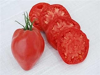 50 Seeds Hungarian Heart Tomato Seeds (More Heirloom Organic Non GMO Vegetable Fruit Herb Flower Garden Seeds) Non-Hybrid,