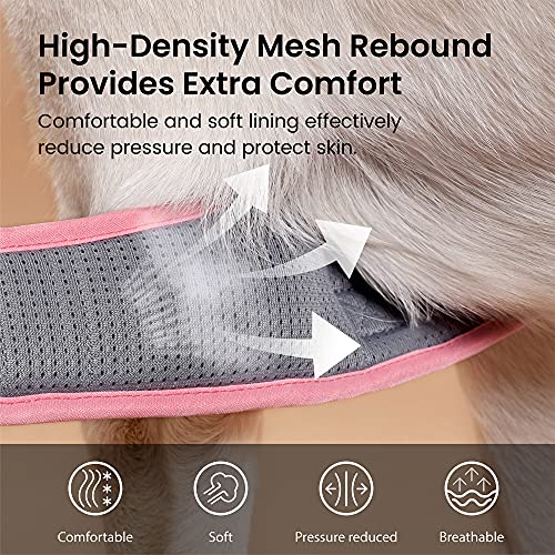 Pawaii Pettorina Cane, Pettorina h Cane Regolabile...