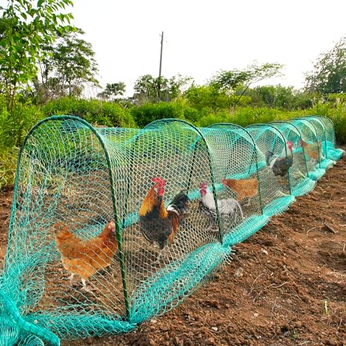 UNIFAMILY Flexible Chicken Tunnels 354 31 Inch Chicken Coop Run Chicken Tunnel for Yard Outside Easy Installation Chicken Tunnel Runs Suitable for Chickens Duck Rabbit green