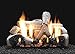 Empire Birch Ceramic Fiber Log Set, 4-piece, 24-inch (LS24B2)