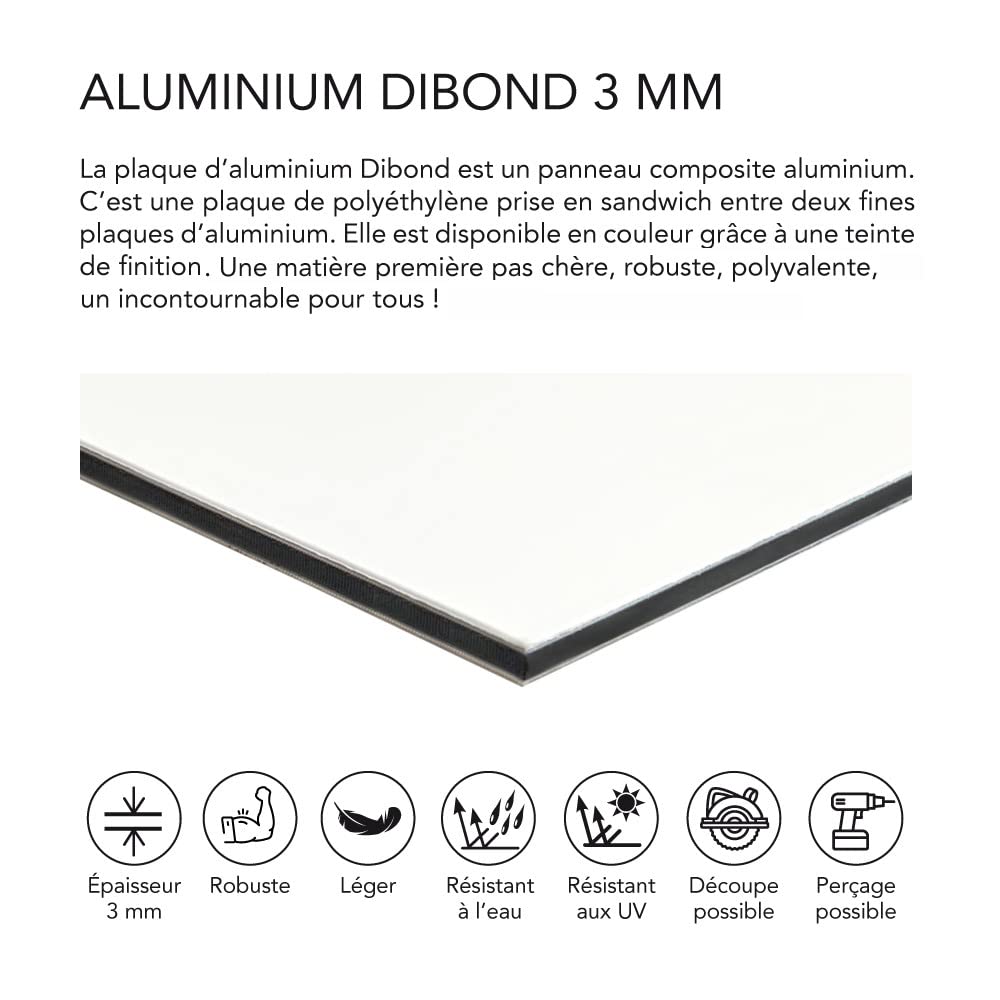Sticker de decoration Lettres Aluminium noir 3mm Century Gothic enseigne lettre géante fixer